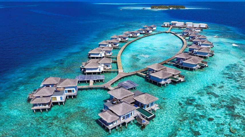 Maldivi -ronjenje