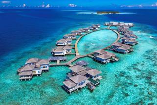 Maldivi -ronjenje